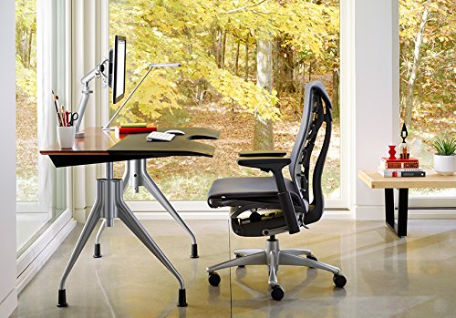 Herman Miller Embody Ergonomic Office Chair