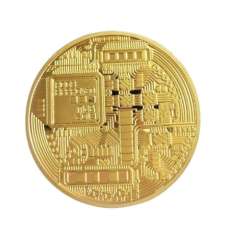 10 Pcs Bitcoin Coin with Case